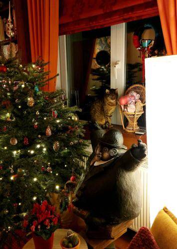 Dison Bed & Breakfast | 70 m² Bed and breakfast ∙ 2 bedrooms ∙ 4 guests