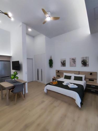 Algiros Apartment | Apartamento Río Turia Pingüino