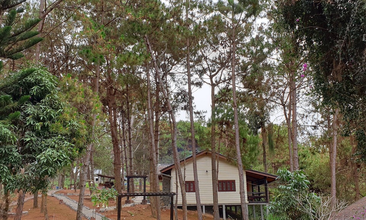 Phonsavan Hotel | Auberge Plain of Jars - Phouphadeng