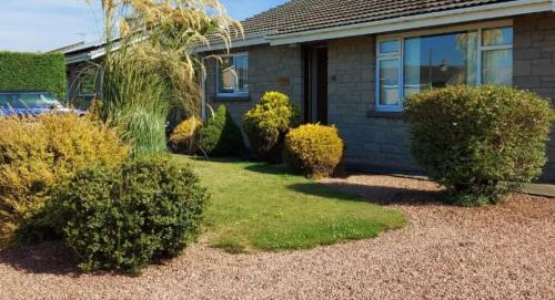 Ivy Cottage | Montrose