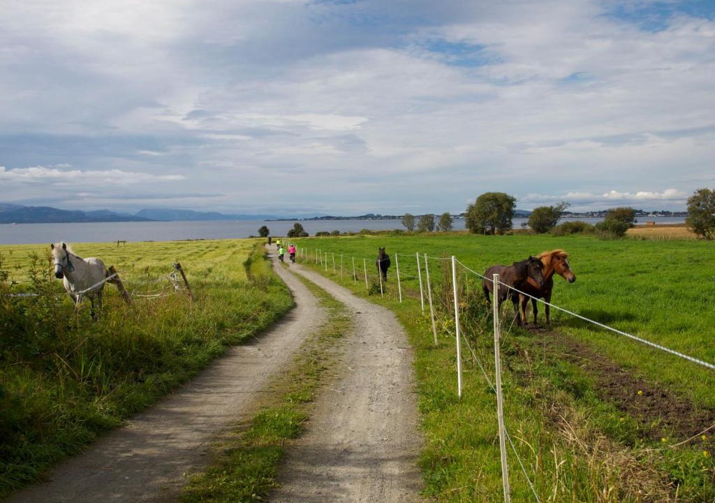 Orland House | Kårstua - Austrått Agroturisme