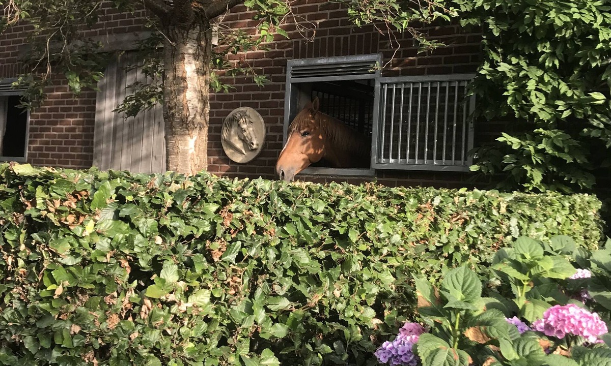 Bree Bed & Breakfast | t Welthof