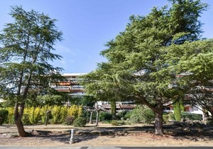 45 m² Apartment ∙ 1 bedroom ∙ 4 guests