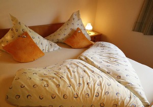 Double room "Talblick" - House Erika Grundner