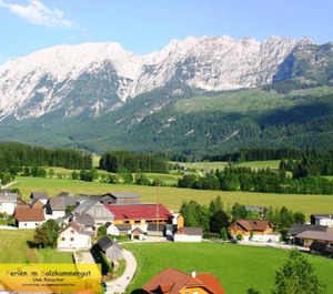 Panoramablick 