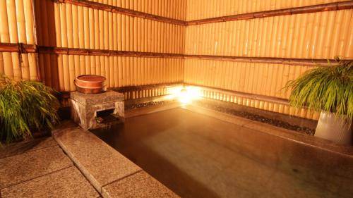 Shimosuwa Hotel | 12 m² Hotel ∙ 8 guests