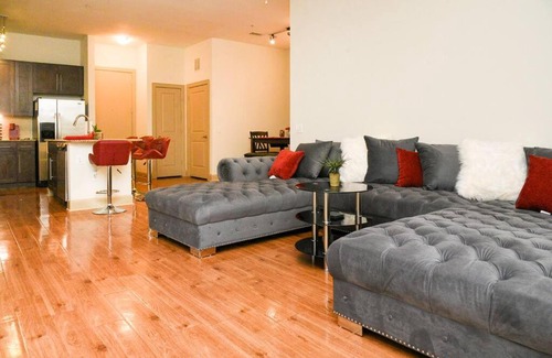 Astrodome Apartment | NRG Park - Spacious Two-Bedroom Two-Bathroom Apartment