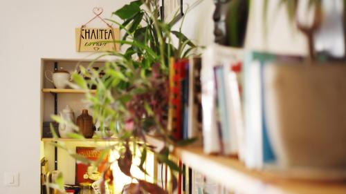 Split Hostel | Tchaikovsky Hostel Split (T-Hostel)