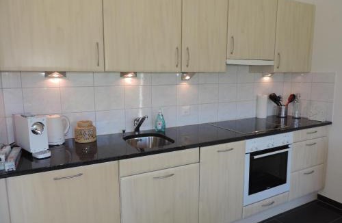 Albula-Alvra Apartment | Alpenrose (295 Av)