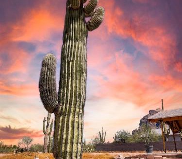 Apache Junction House | Boulder Apache Junction