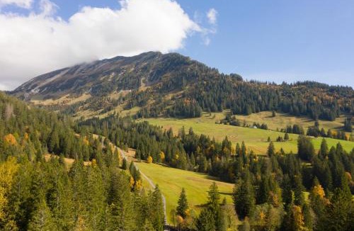 Mitloedi Apartment | Ferienhaus Bergblick