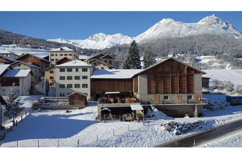 Grisons Apartment | Ferienwohnung Hof Collet