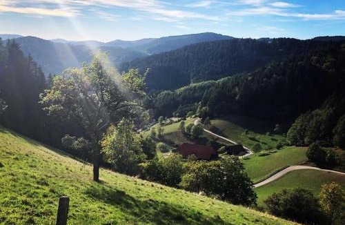 Hausach Apartment | FeWo mit Whirlpool, Infrarot-Sauna & Schwarzwaldblick