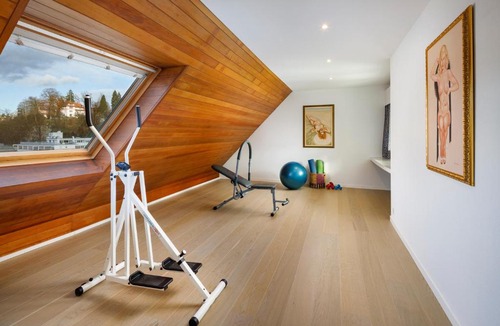 Lucerne Apartment | Penthouse zum Löwen