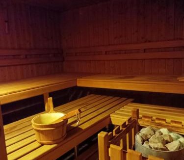 Salouf Apartment | Pool & Sauna Wellness Charming Swiss style chalet!