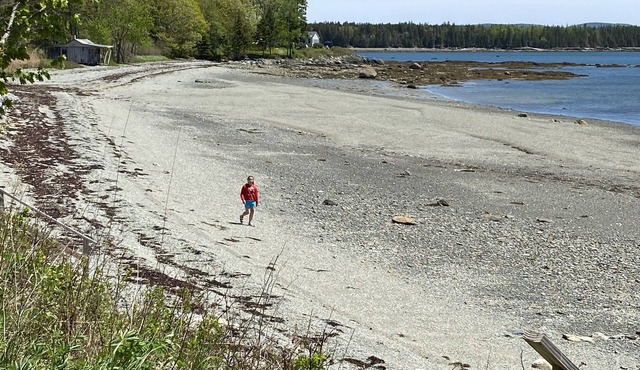 Acadia National Park Seaside Briar Rose by the Sea! Sleeps 15-15 min to Acadia!