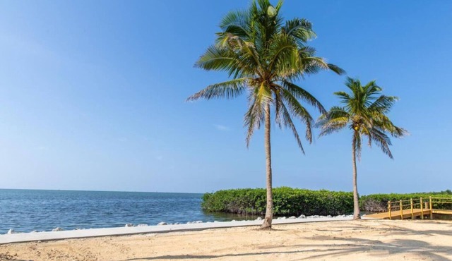 Best Place to Stay in Florida! 3 Pet-Friendly Units, Free Breakfast, Parking
