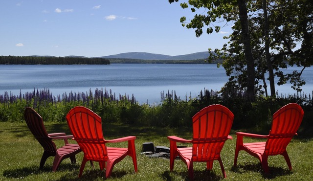 Roomy waterfront home. Stunning views. Stargazers delight. 20 min from Acadia.
