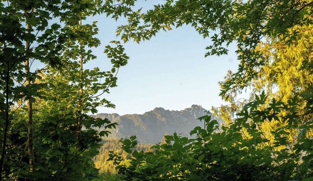 Tree Frog Terrace - mountain trail w/views, river access, 4+pets