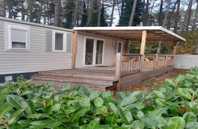 Chalet Microwave Antwerp At Km 