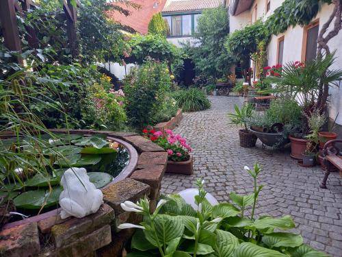 Retz Bed & Breakfast | 25 m² Bed and breakfast ∙ 3 guests