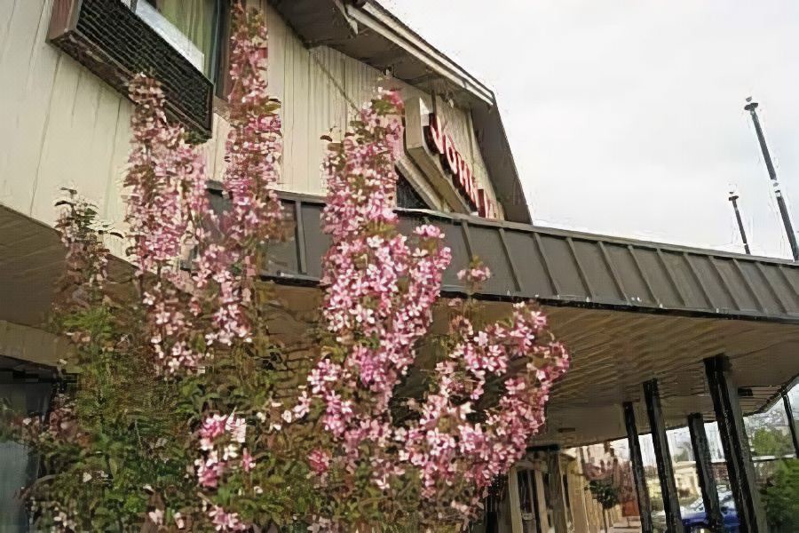 Photo of Buildings in Syracuse