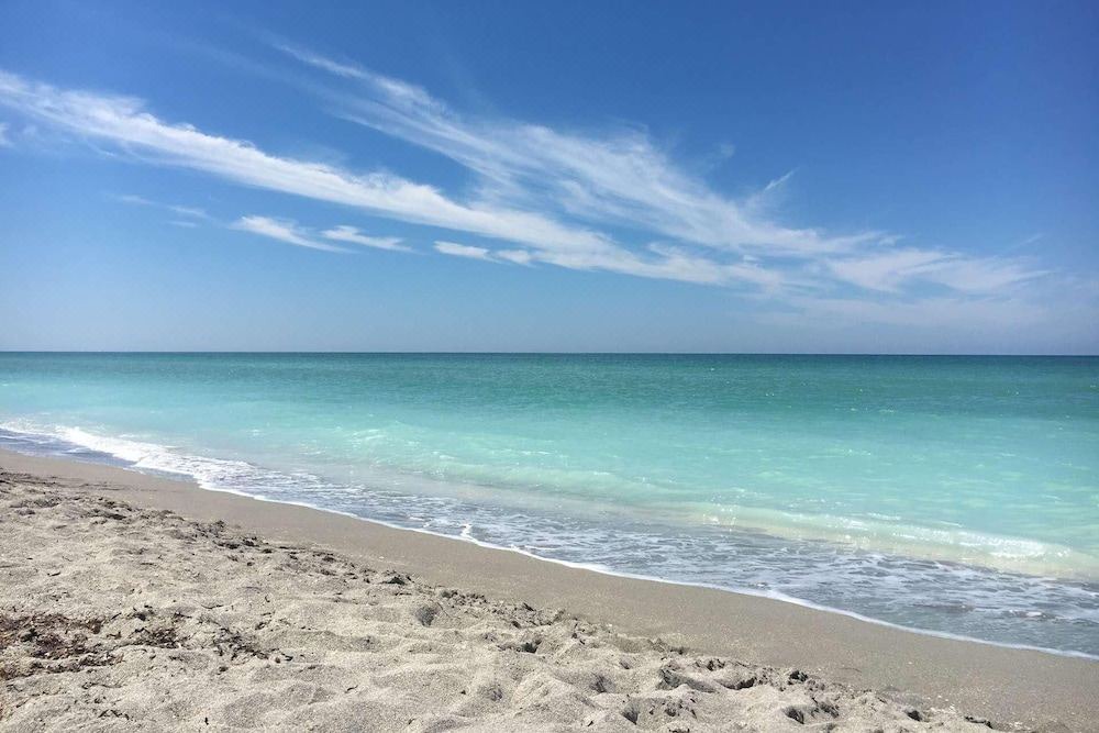 Photo of Outdoor in Siesta Key