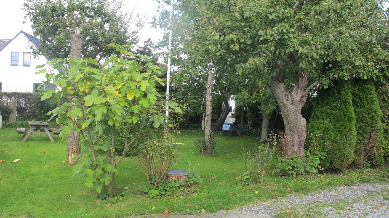Photo of Others in Aarhus North