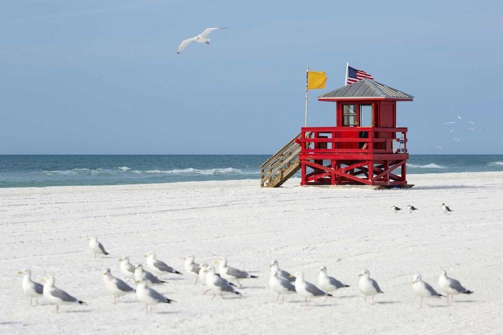 Photo of Others in Siesta Key