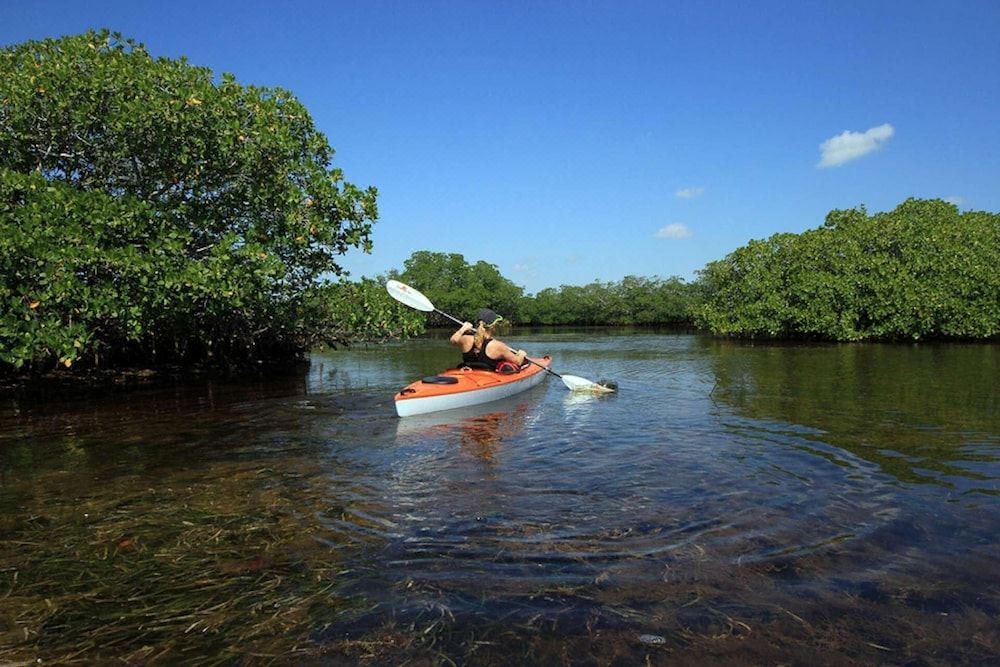 Photo of Outdoor in Siesta Key
