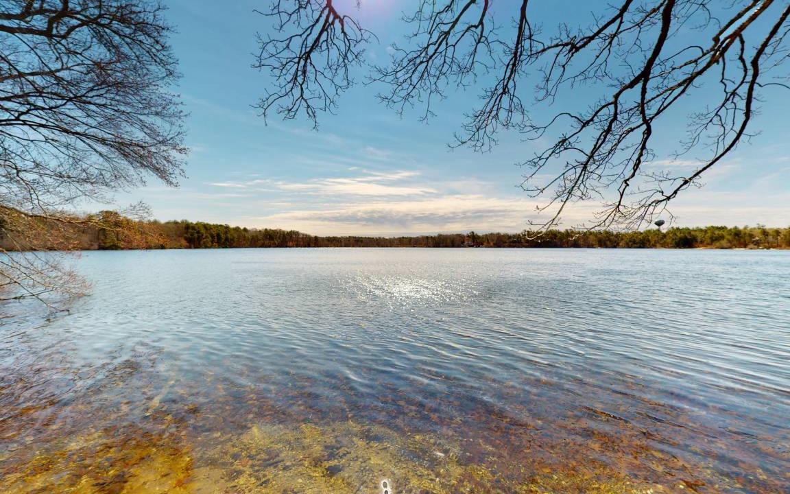 Photo of Others in Cotuit