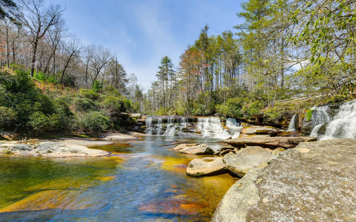 Photo of Others in Balsam Grove