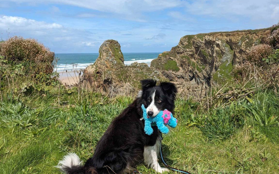 Photo of Others in Newquay