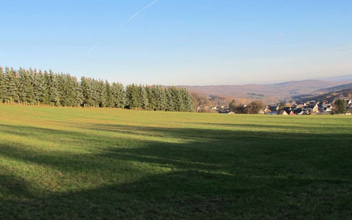 Photo of Others in Niedershausen