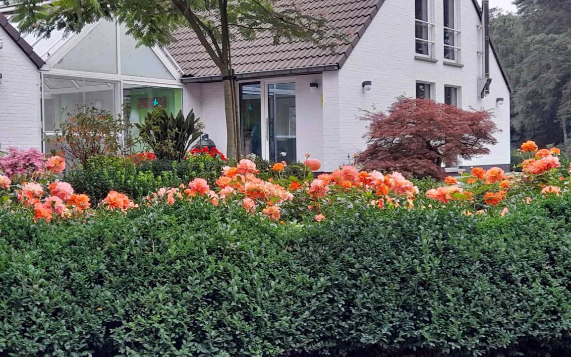 Photo of Others in Het Geheul