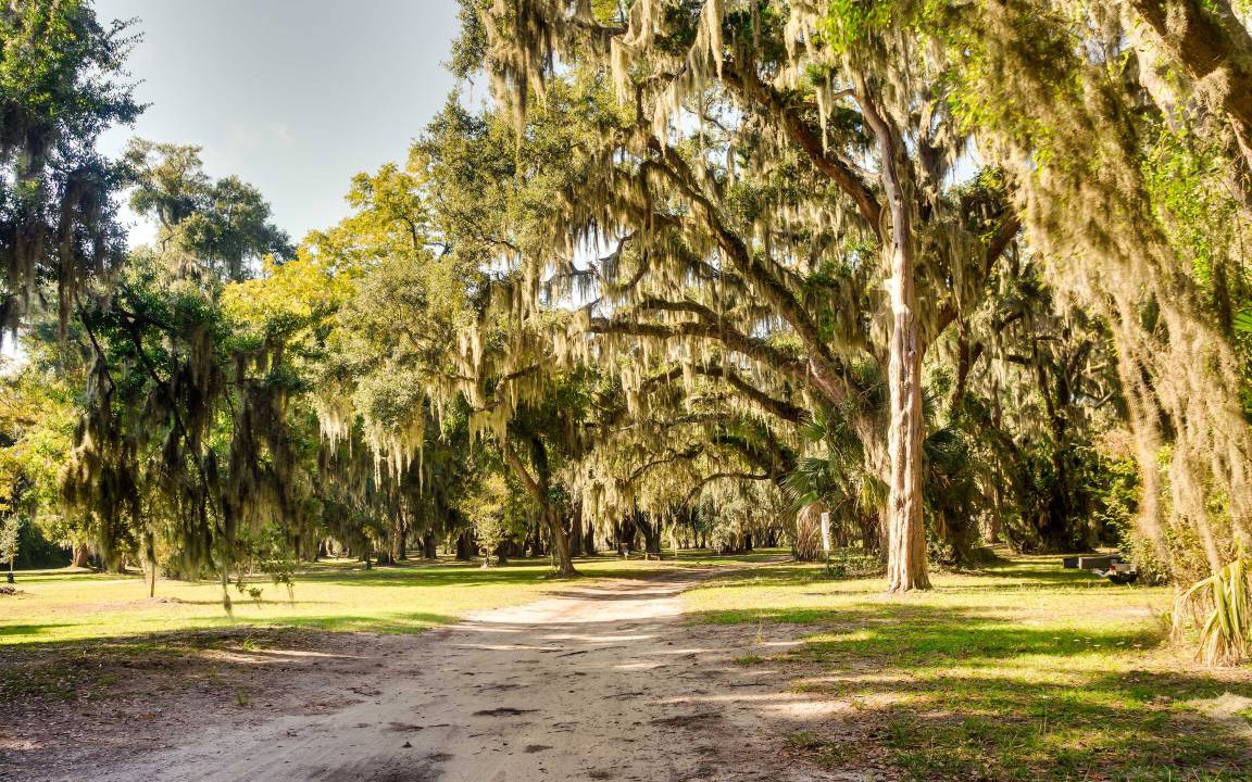 Photo of Others in Saint Simons Island