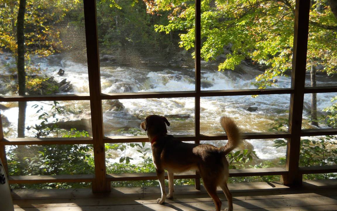 Photo of Others in Boone