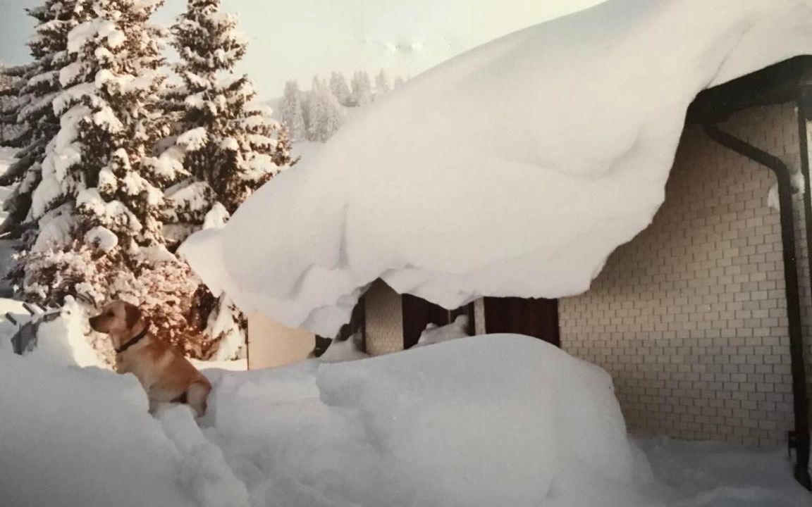 Photo of Others in Appenzell