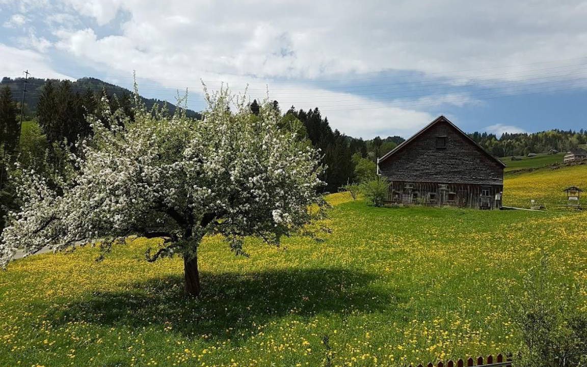 Photo of Others in Nesslau-Krummenau