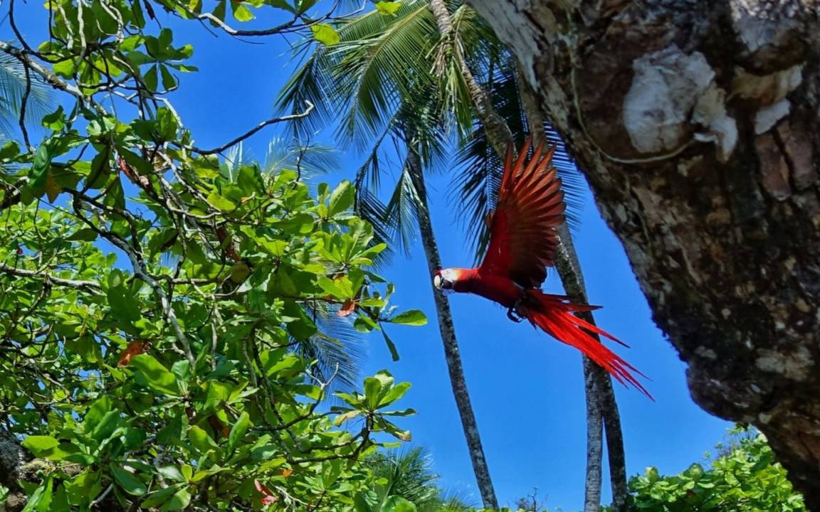 Photo of Others in Drake Bay