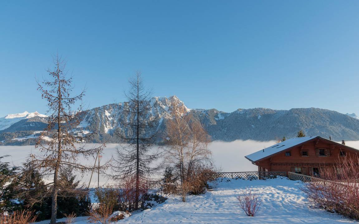 Photo of Others in Leysin