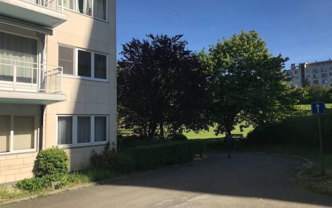 Photo of Others in Binche