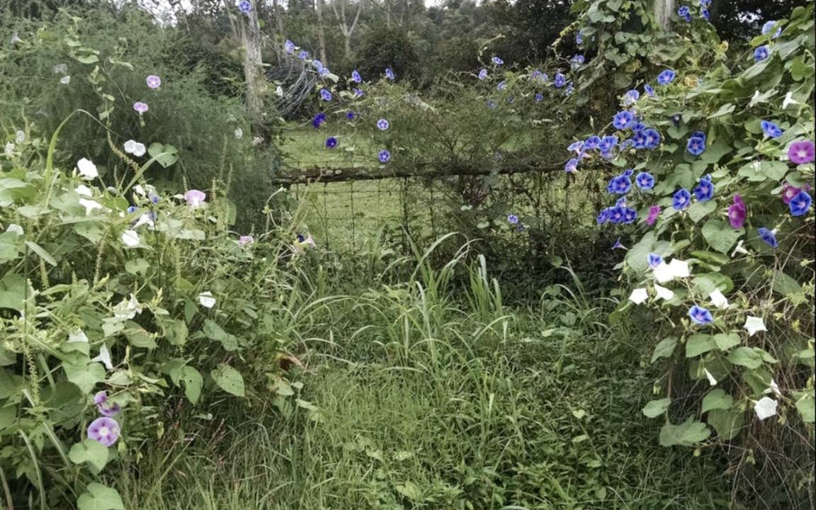 Photo of Outdoor in Sparta