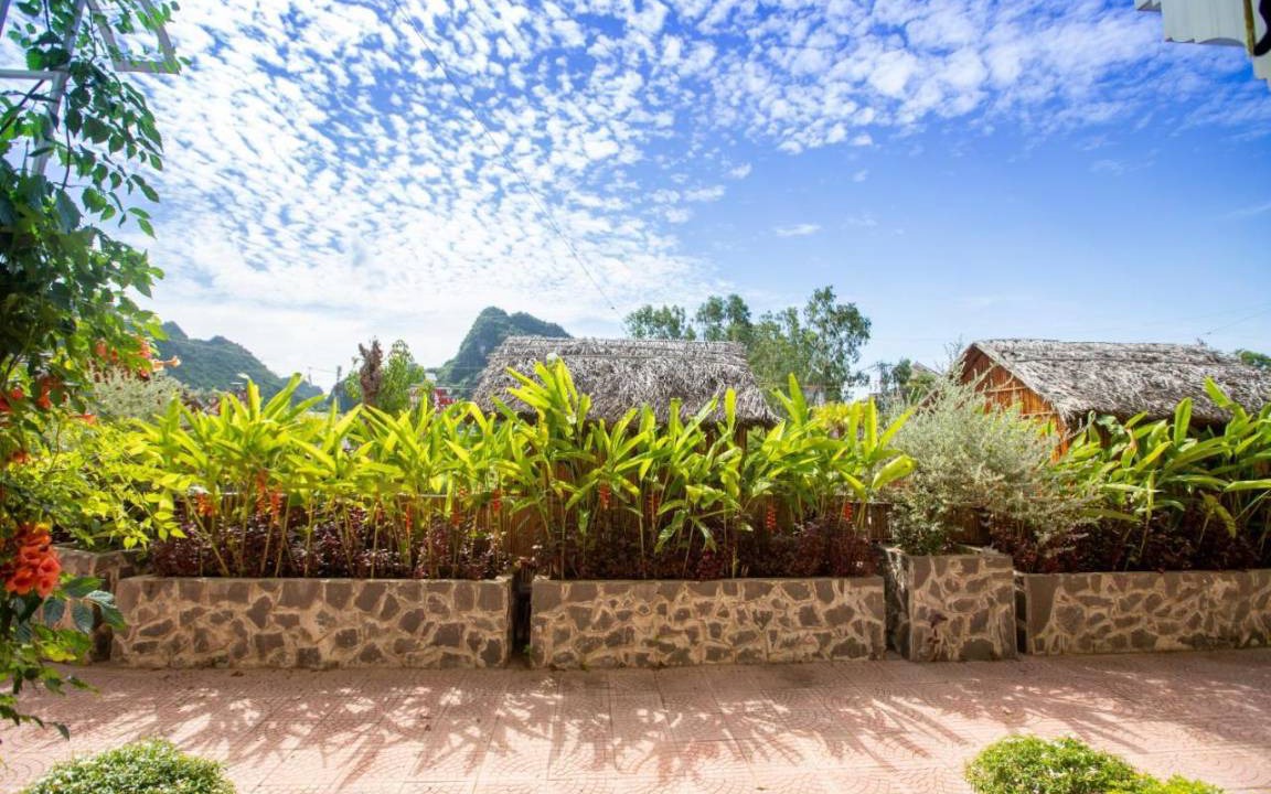 Photo of Others in Phong Nha