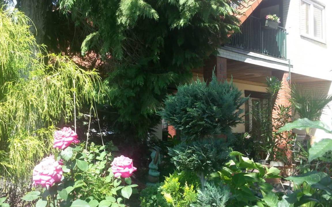 Photo of Others in Bernau bei Berlin