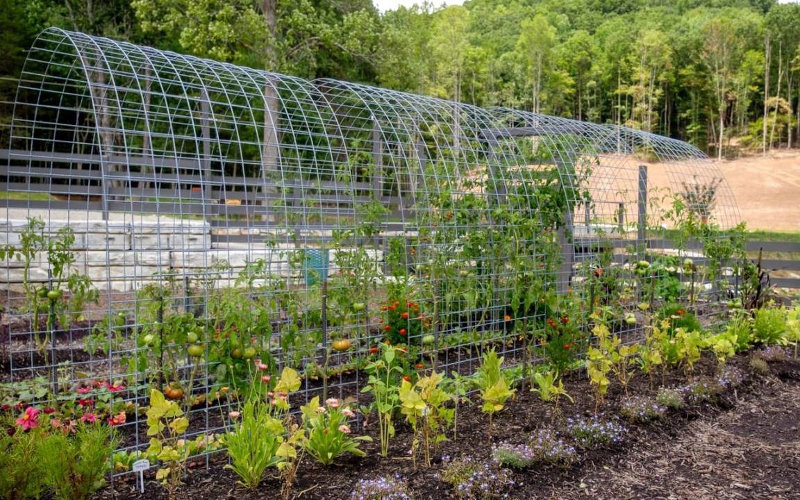 Photo of Outdoor in Balsam Grove