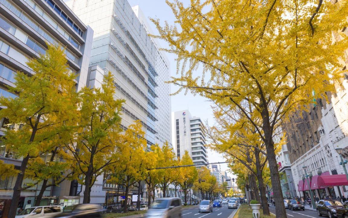 Photo of Others in Nishishinsaibashi