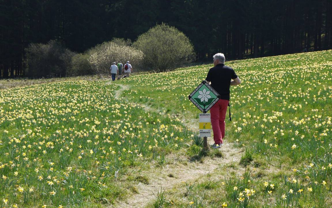Photo of Others in Reifferscheid
