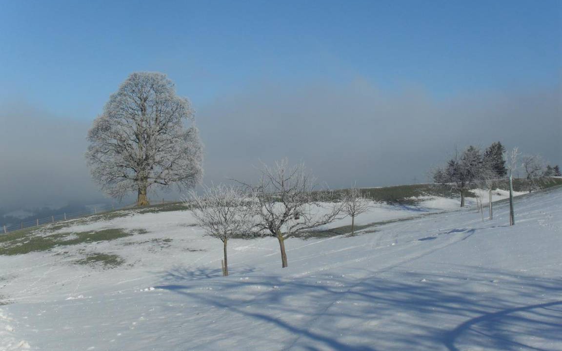 Photo of Others in Hemberg