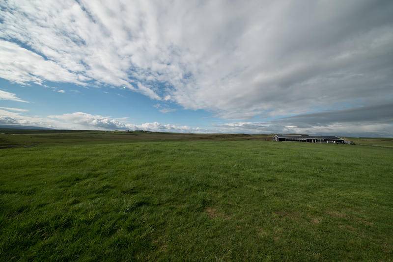 Photo of Others in Selfoss